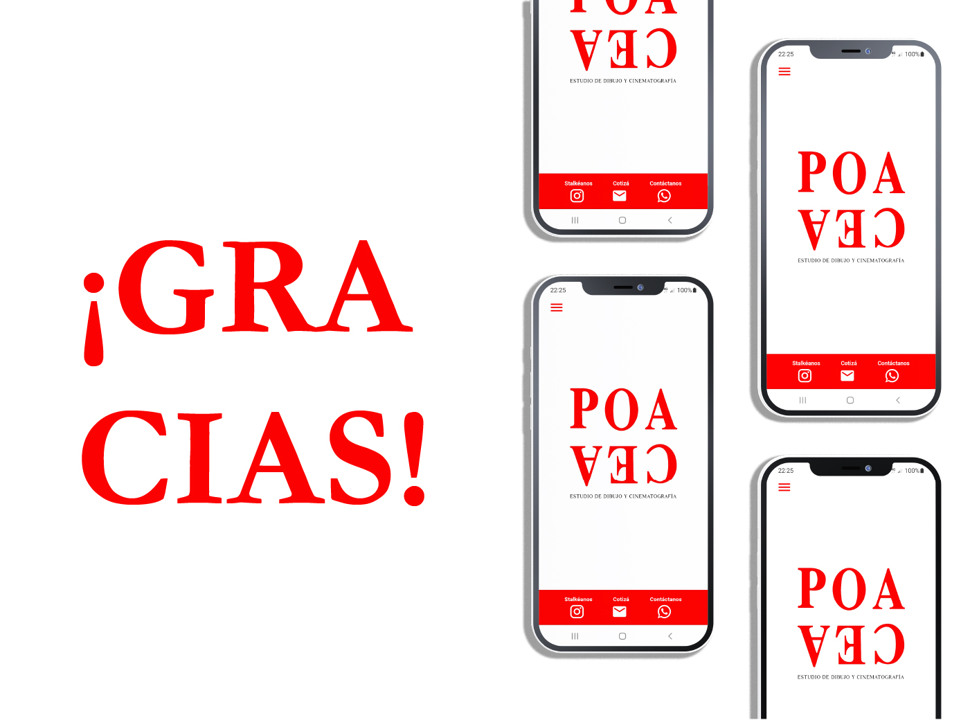 Proyecto POACEA vista 9